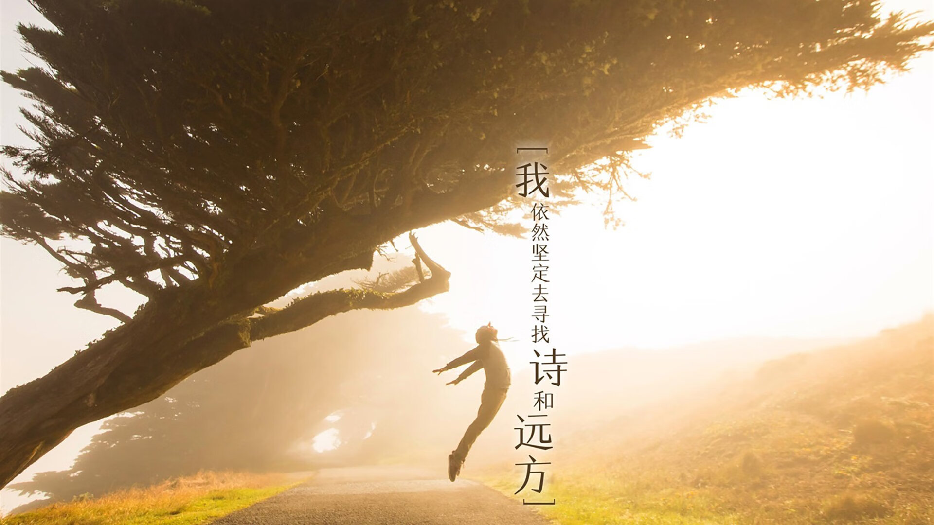 LeyuSports-NBA比赛视频分析技术及其战术价值，nba比赛解析