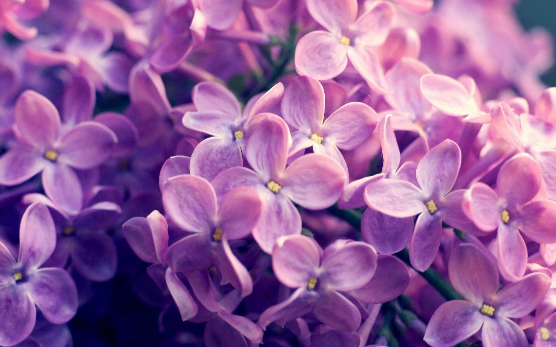 乐鱼体育App下载-“沙滩合球新兴运动，天府新区挑战极限”