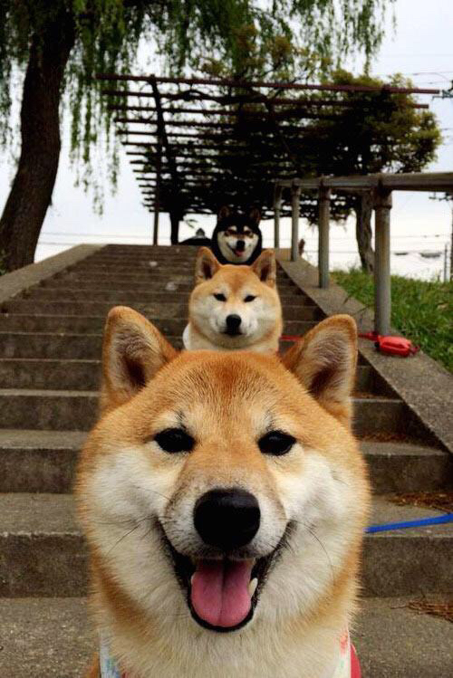 “沙滩合球新兴运动,天府新区挑战极限”