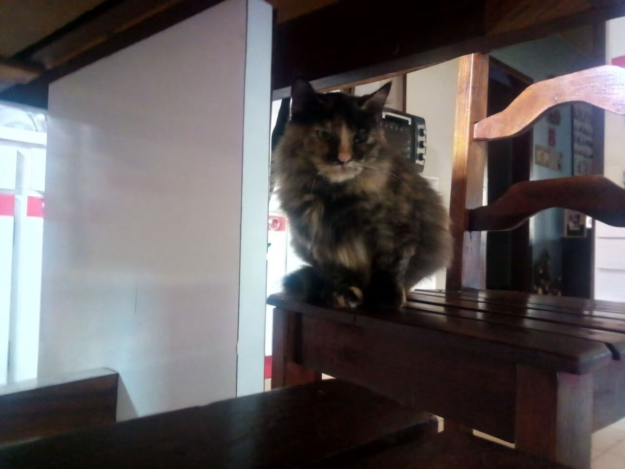 乐鱼体育App下载-战队安排双语教练助力国际选手沟通顺畅