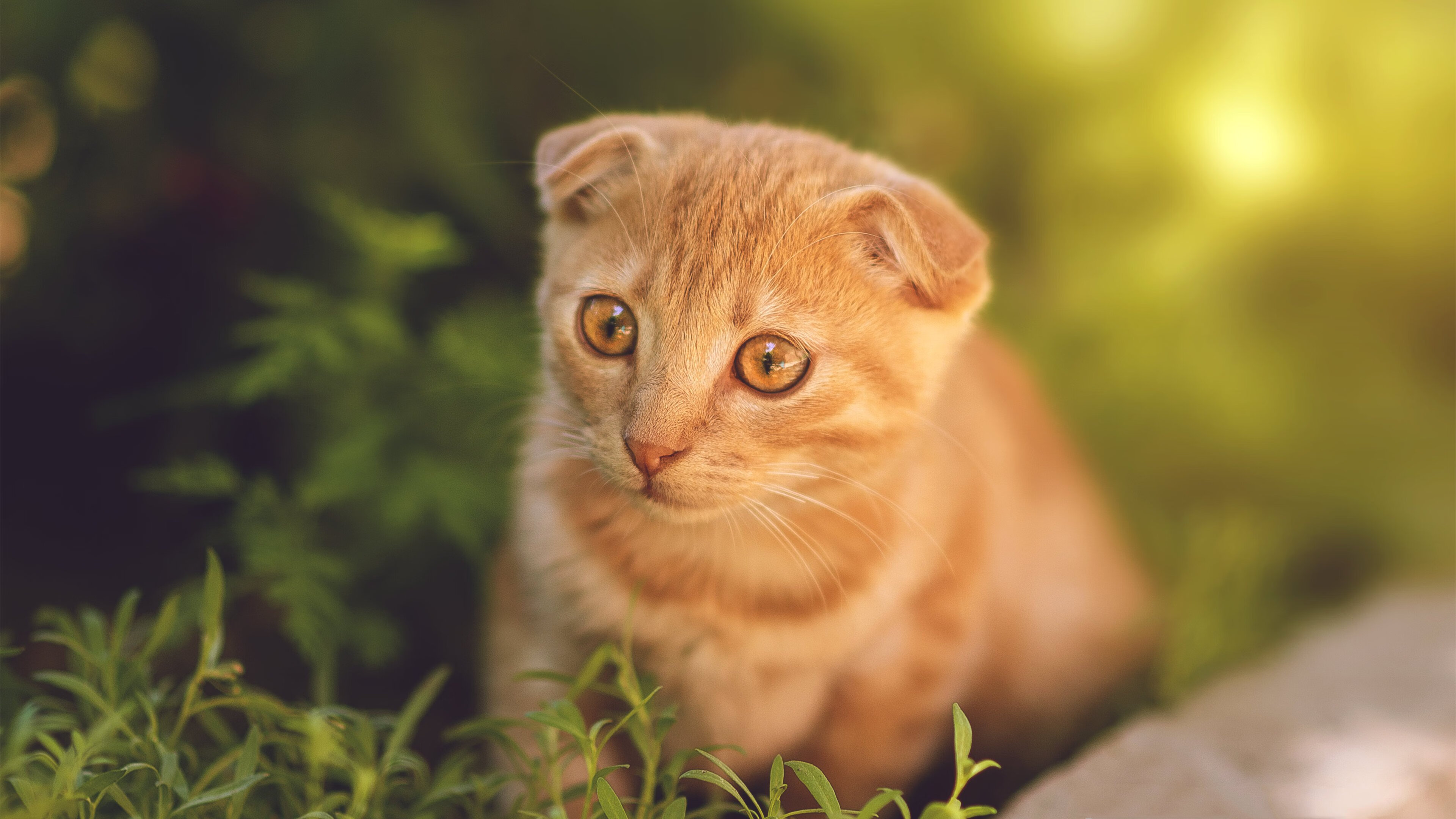 球员体能与体格仍弱于亚洲强队,球员身体素质