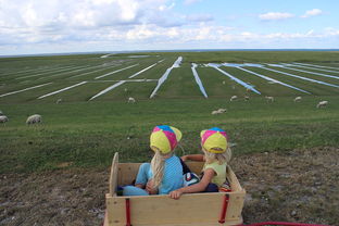 leyu乐鱼-青少年足球训练方法现代化，青少年足球技术