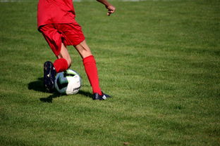 leyu乐鱼体育综合-青训球员选拔机制存在结构性偏见，青训选拔喜欢那种球员