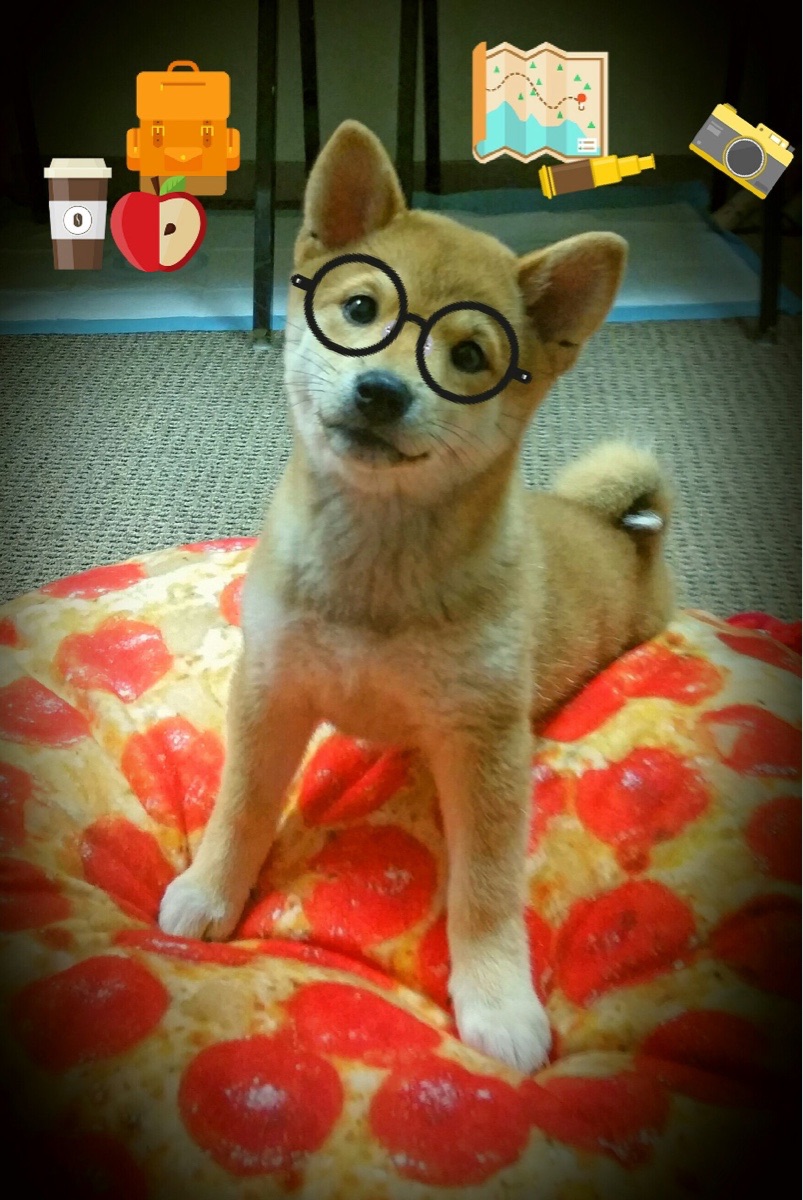 “亚戈·卡尔曼的强硬防守与精准脚法,推动阿根廷美洲狮队迎接未来挑战”