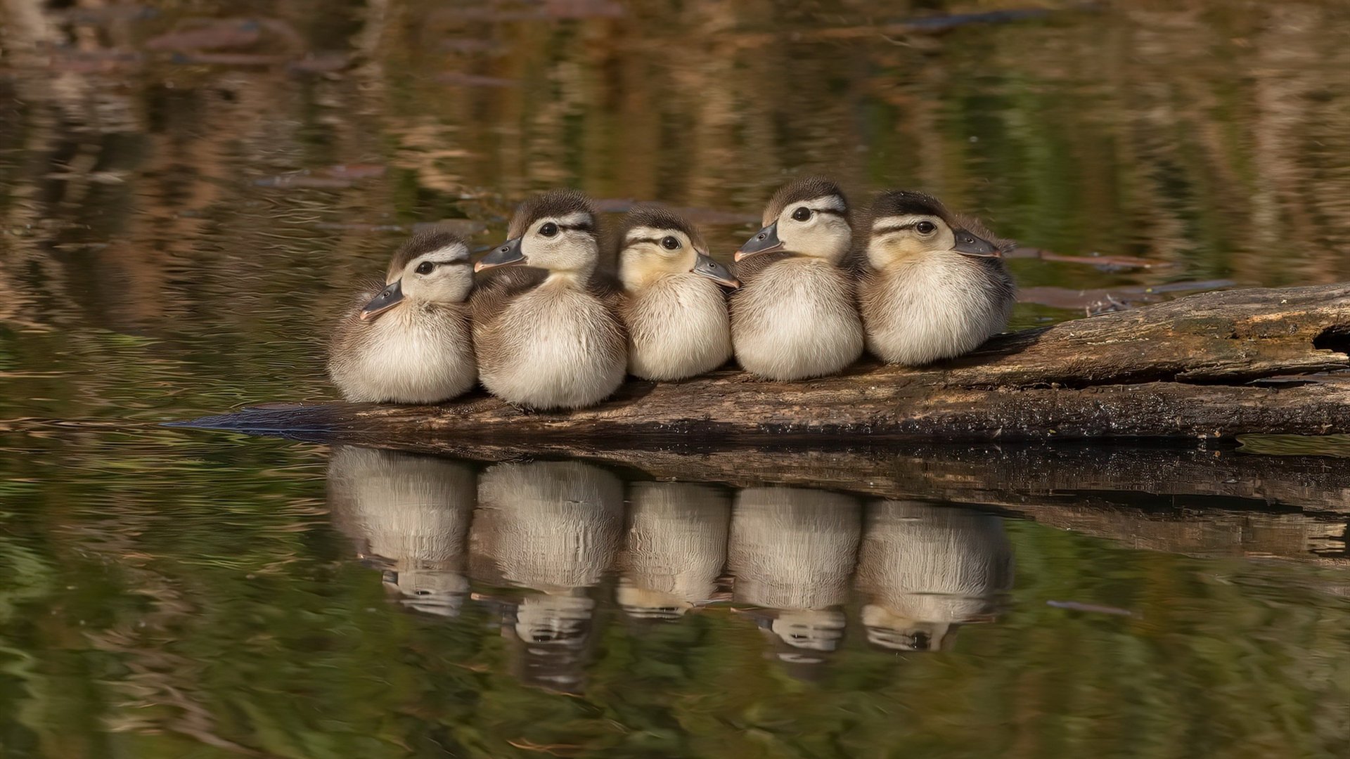 乐鱼体育登录-史密斯赛后分享备战心得，史密斯cba60分回放