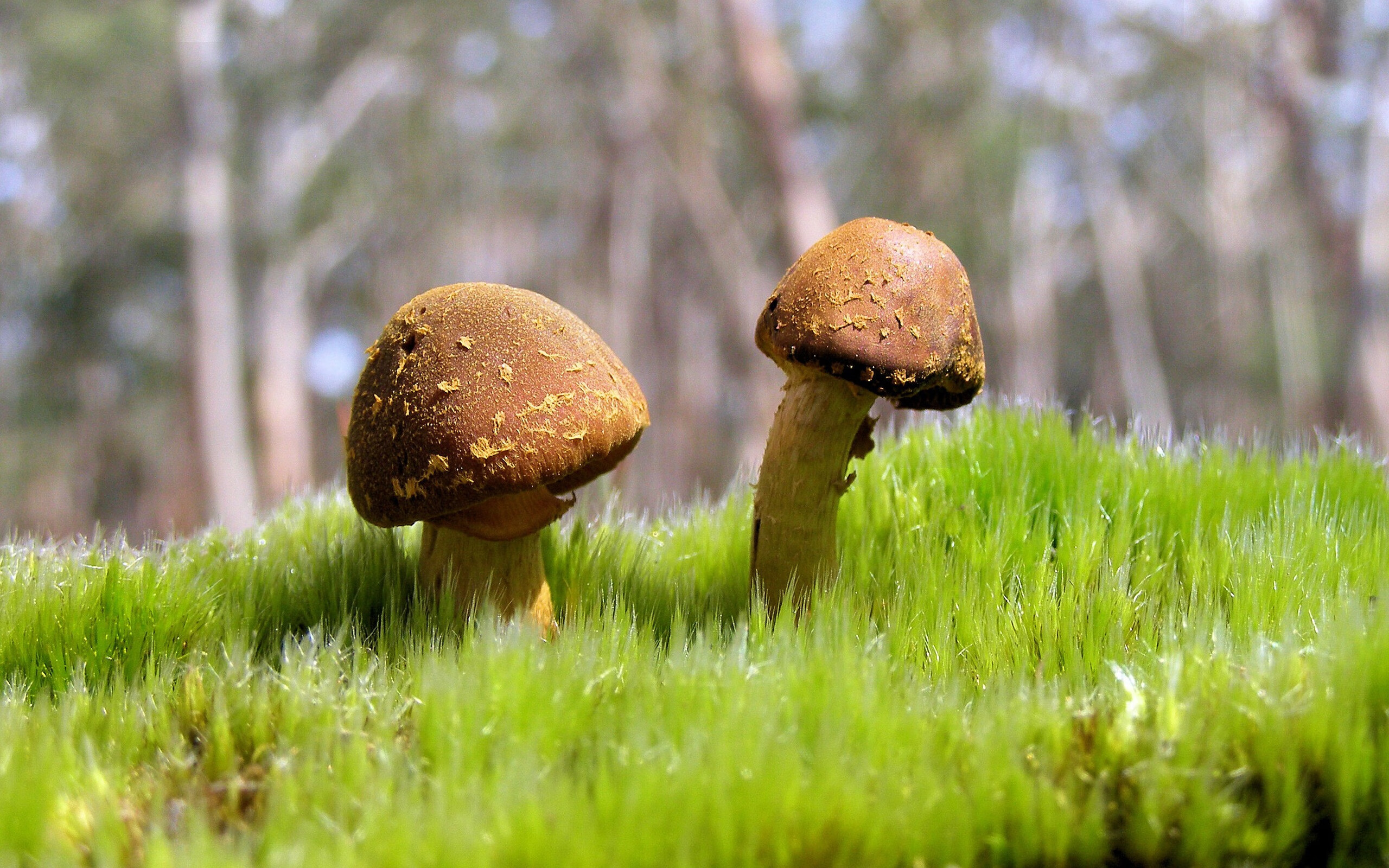 leyu乐鱼体育综合-女子篮球联盟引入国际先进战术理念丰富打法，女子篮球联赛叫什么