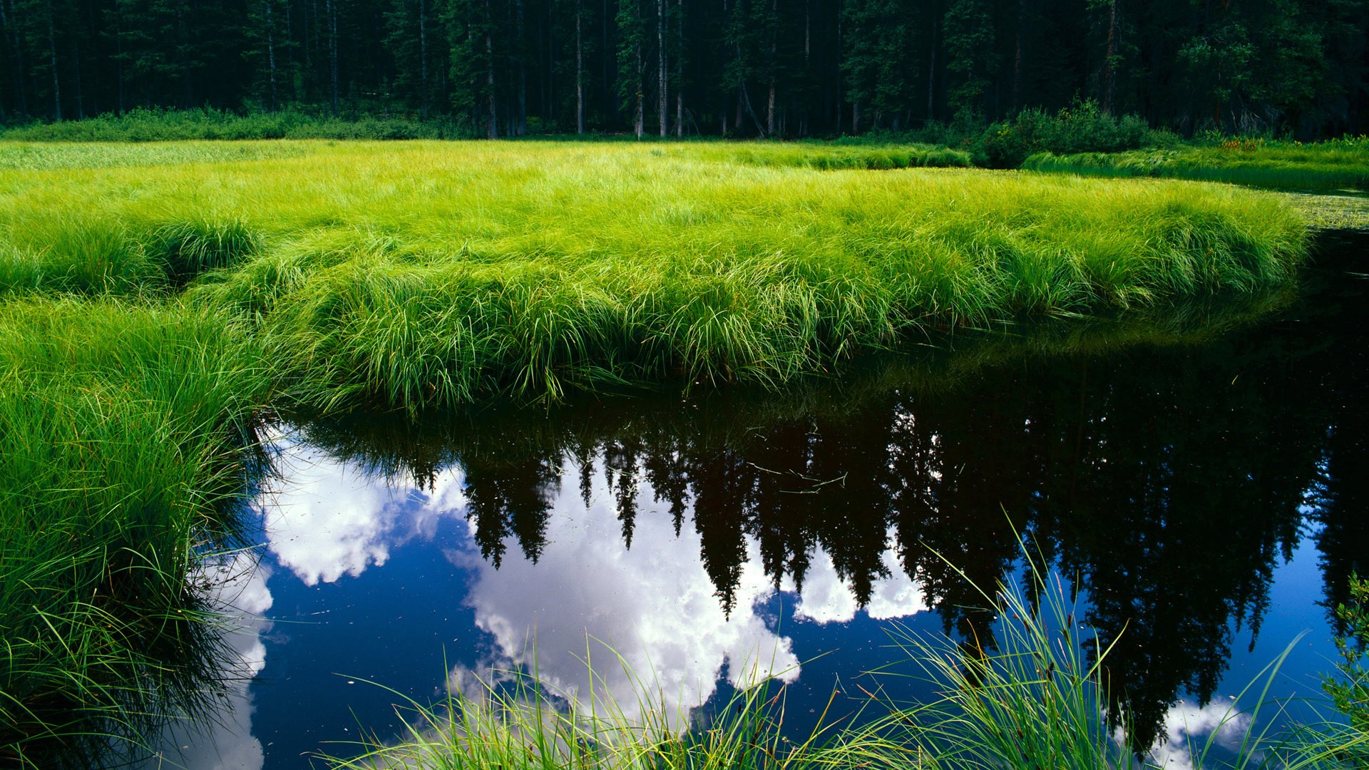 Leyu Sport登录入口-意甲球迷互动与现场体验提升，意甲用球2020