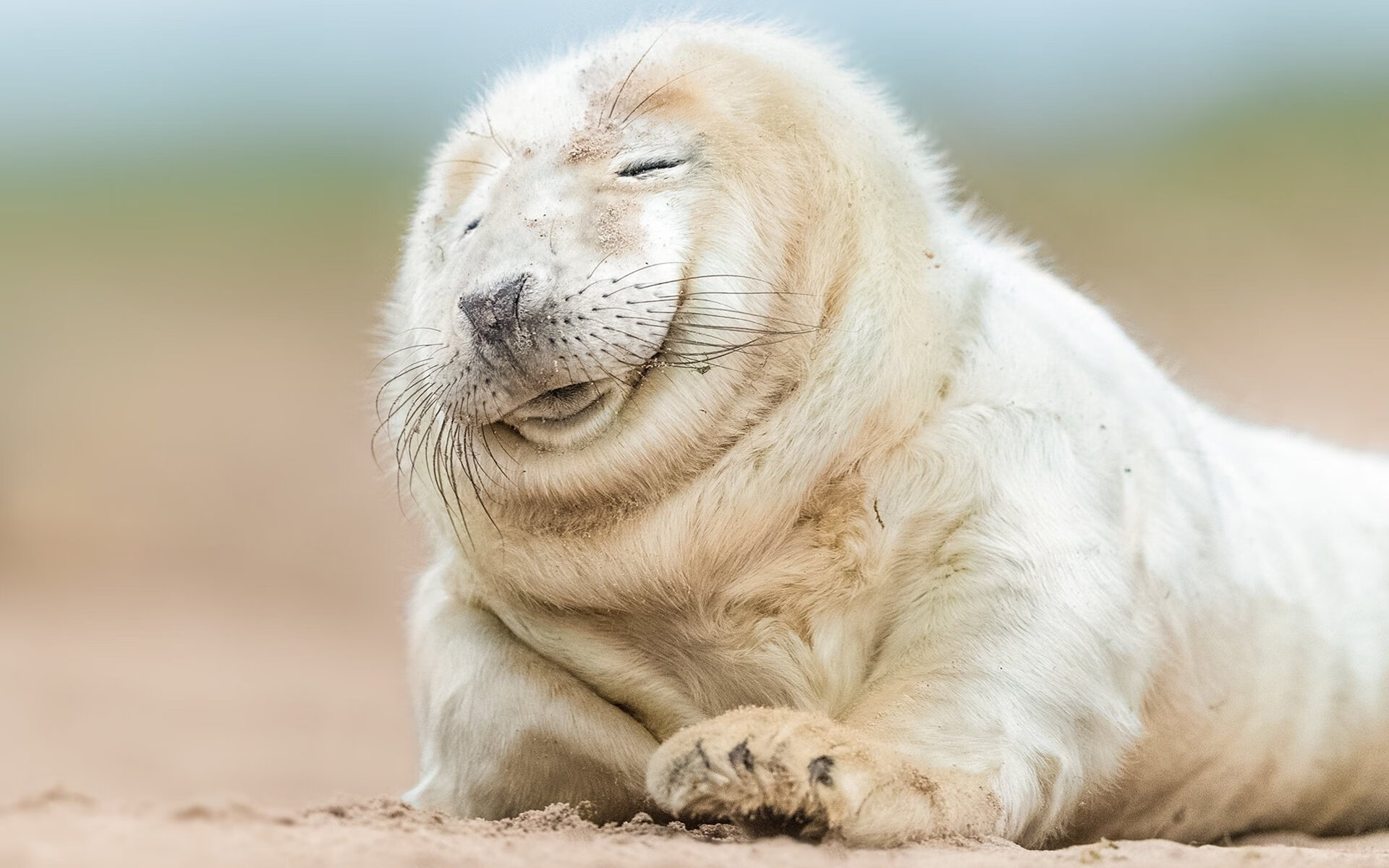 美国队决赛配速精准战略成功,美国队的对战