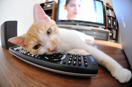 LEYU SPORTS中国官方网站-赞比亚男篮在非洲预赛中拼搏精进，迈向奥运新世纪，赞比亚篮球运动员