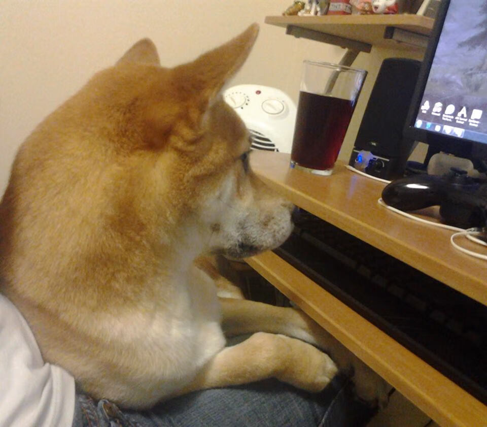 专业编辑团队保障体育内容权威性